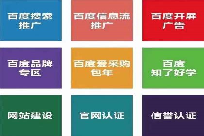 信息流广告投放策略优化：实战案例与数据支撑